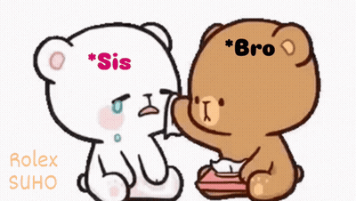 A Cartoon Of Two Teddy Bears With Sis And Bro Written On Their Heads GIF