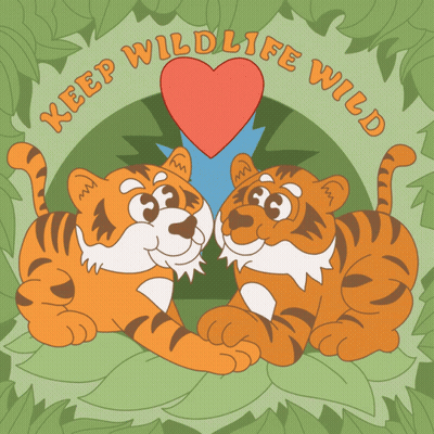 A Cartoon Of Two Tigers With A Heart And The Words Keep Wildlife Wild On The Bottom GIF