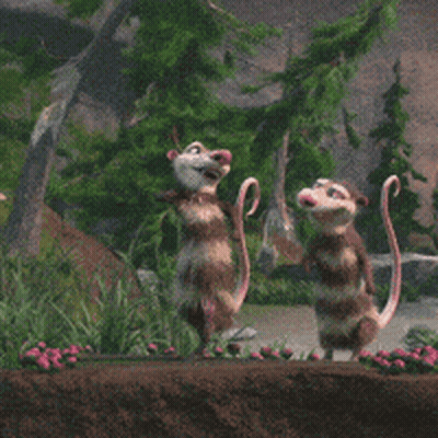 A Cartoon Opossum Is Standing On A Rock In The Dirt GIF