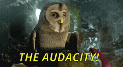 A Cartoon Owl Is Sitting On A Rock With The Words `` The Audacity '' Written On The Bottom . GIF