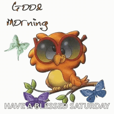 A Cartoon Owl Wearing Sunglasses Is Sitting On A Tree Branch . GIF