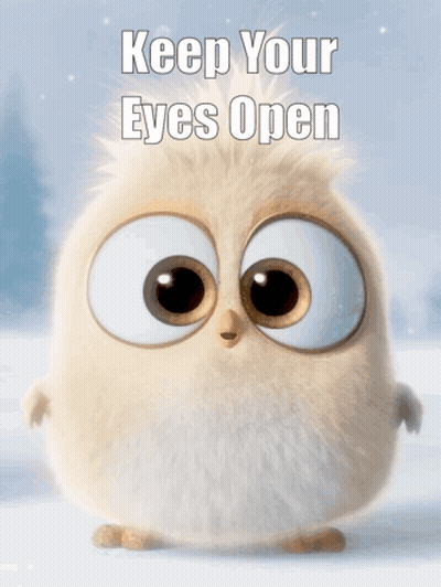 A Cartoon Owl With A Message That Says Keep Your Eyes Open GIF