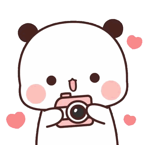 A Cartoon Panda Bear Is Holding A Pink Camera In Its Paws Sticker