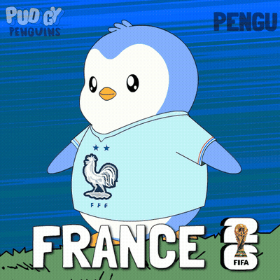 A Cartoon Penguin Wearing A France 2 Jersey GIF