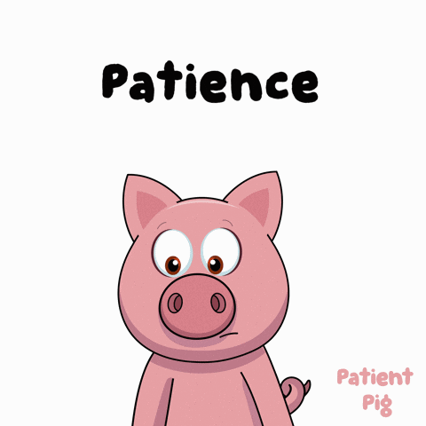 A Cartoon Pig Is Holding A Microphone With The Word Patience Written Above It GIF