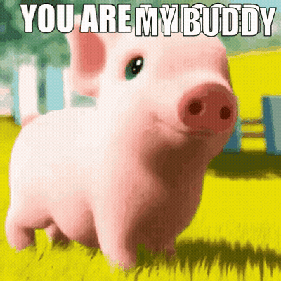 Pig GIFs