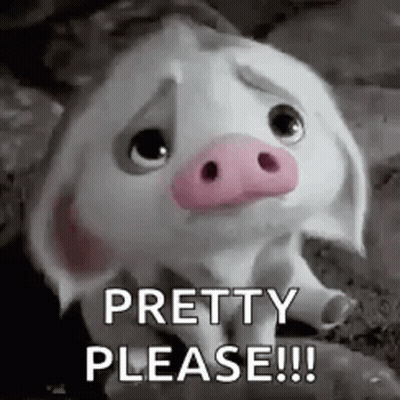 A Cartoon Pig With A Pink Nose Is Sitting On The Ground And Saying `` Pretty Please '' . GIF