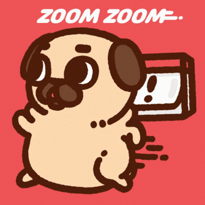 A Cartoon Pug With The Words Zoom Zoom Written Below It GIF