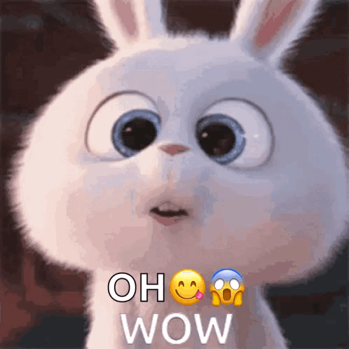 A Cartoon Rabbit With A Surprised Look On Its Face And The Words Oh Wow GIF