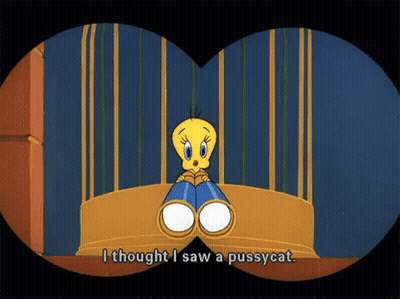A Cartoon Says I Thought I Saw A Pussy Cat GIF
