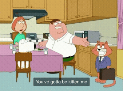 A Cartoon Scene With Peter Griffin And Lois Griffin Talking To A Cat GIF