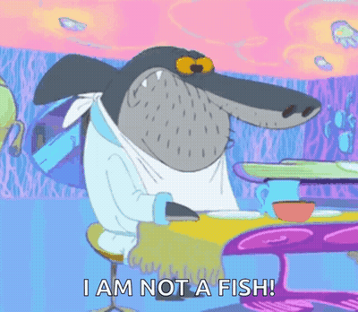 A Cartoon Shark Is Sitting At A Table And Says " I Am Not A Fish " GIF