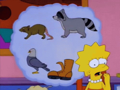 A Cartoon Shows A Raccoon A Pigeon A Rat And A Boot GIF