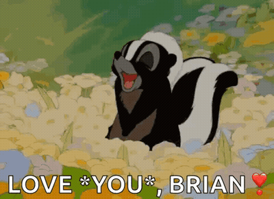 A Cartoon Skunk Is Standing In A Field Of Flowers And Says Love You Brian GIF
