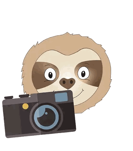 A Cartoon Sloth Is Holding A Camera In Front Of Its Head Sticker