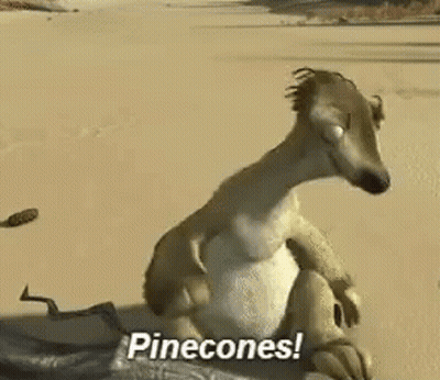 A Cartoon Squirrel Is Holding A Pine Cone In His Hand And Says Pinecones . GIF