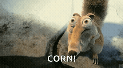 A Cartoon Squirrel Says Corn In Front Of A Rock GIF