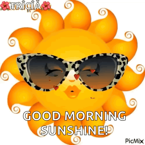 A Cartoon Sun Wearing Sunglasses With The Words Good Morning Sunshine Written On It GIF