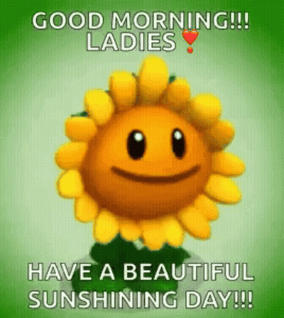 A Cartoon Sunflower With A Face On It Is Saying `` Good Morning Ladies Have A Beautiful Sunshine Day ! '' GIF