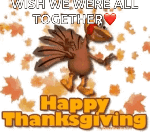 A Cartoon Turkey Says Wish We Were All Together And Happy Thanksgiving GIF