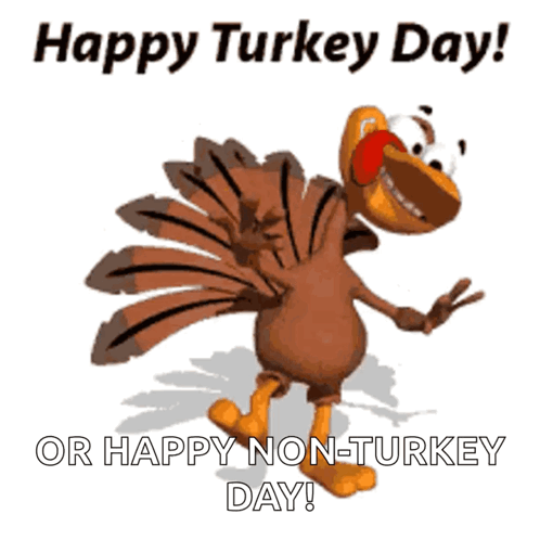 A Cartoon Turkey With The Words Happy Turkey Day Or Happy Non-Turkey Day Below It GIF