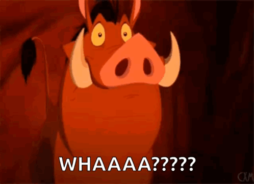 A Cartoon Warthog From The Lion King Is Standing In A Cave And Says Whaaa ? GIF
