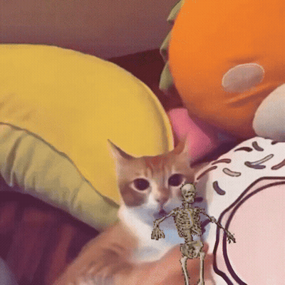 A Cat And A Skeleton Are On A Bed GIF