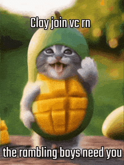 A Cat Dressed As A Mango With The Words Clay Join Vc Rn The Rombling Boys Need You GIF
