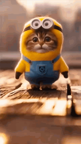 A Cat Dressed As A Minion Is Walking On A Wooden Table . GIF