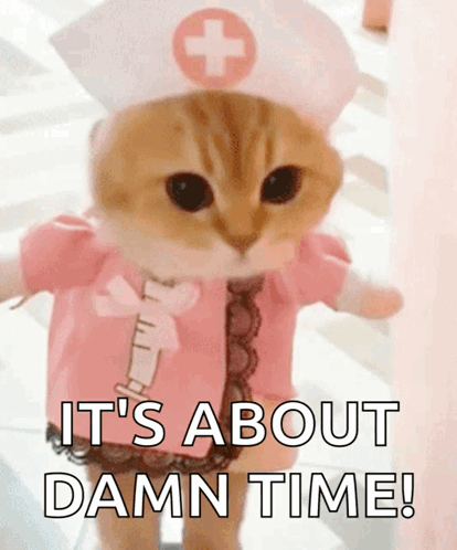A Cat Dressed As A Nurse With The Words It 'S About Damn Time Written Below It GIF