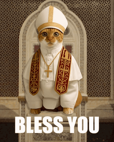 A Cat Dressed As A Pope Is Sitting On A Throne With The Words Bless You Behind It GIF