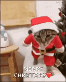 A Cat Dressed As Santa Claus Is Standing Next To A Stool And A Christmas Tree . GIF