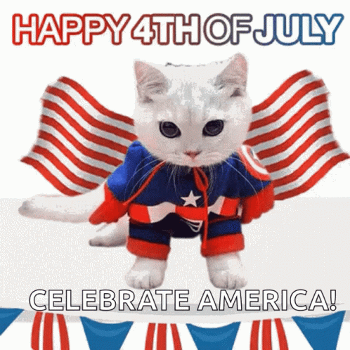 A Cat Dressed In A Captain America Costume Says " Happy 4Th Of July Celebrate America " GIF