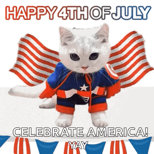 A Cat Dressed In A Captain America Outfit Says Happy 4Th Of July GIF