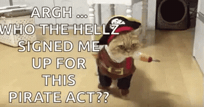 A Cat Dressed In A Pirate Costume Is Walking On The Floor GIF