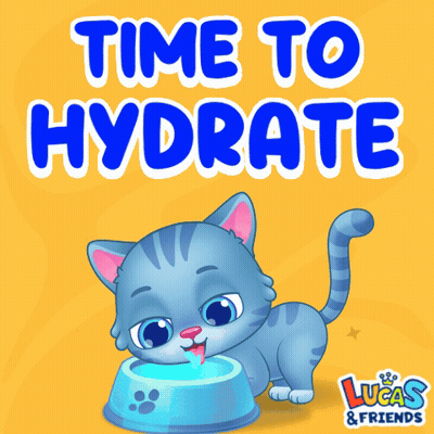 A Cat Drinking Water From A Blue Bowl With The Words Time To Hydrate Above It GIF