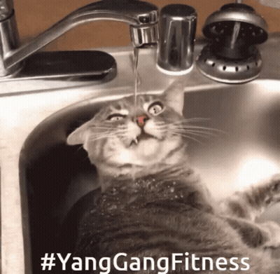 A Cat Drinking Water From A Faucet In A Sink GIF