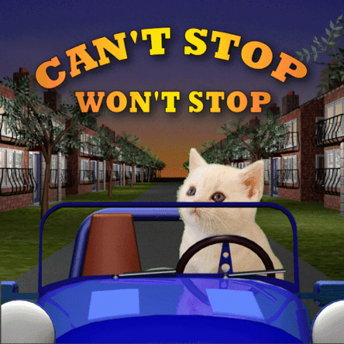 A Cat Driving A Car With The Words Can T Stop Won T Stop Above It GIF