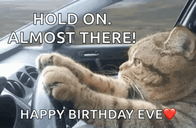 A Cat Driving A Car With The Words Hold On Almost There Happy Birthday Eve GIF