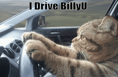 A Cat Driving A Car With The Words " I Drive Billyu " Written Above It GIF