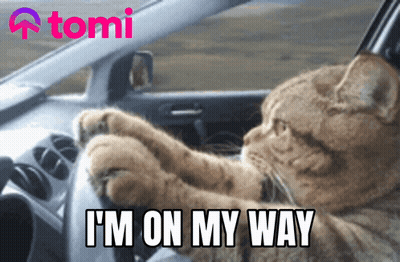 A Cat Driving A Car With The Words " I 'M On My Way " On The Bottom GIF