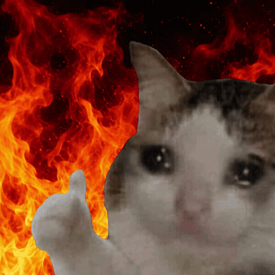 A Cat Giving A Thumbs Up In Front Of Fire GIF