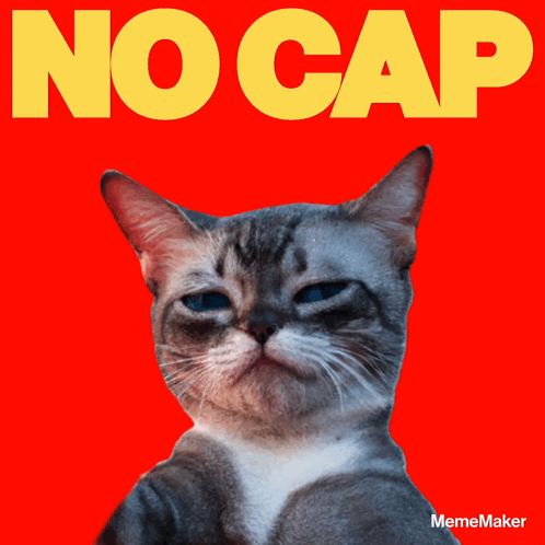 A Cat Giving A Thumbs Up In Front Of The Word Nocap GIF