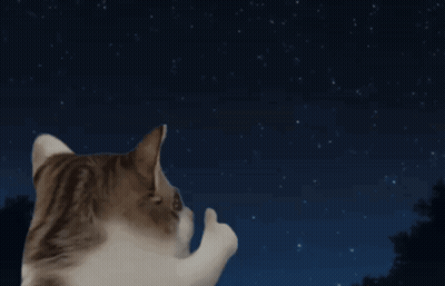 A Cat Giving A Thumbs Up While Looking At The Stars GIF