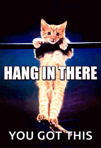 A Cat Hanging On A Bar With The Words Hang In There You Got This GIF