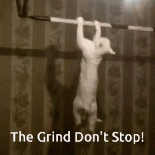 A Cat Hangs Upside Down On A Bar With The Words " The Grind Don 'T Stop " Written Below It GIF