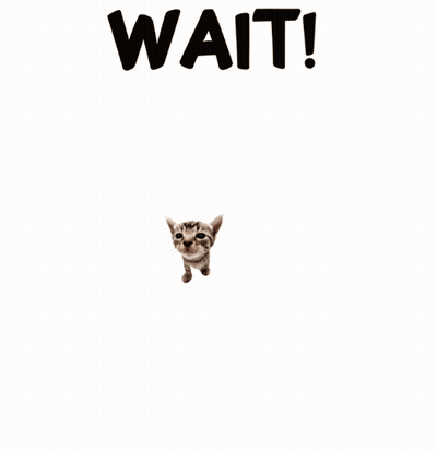 A Cat Holding A Bouquet Of Red Roses With The Words Wait For You Behind It GIF