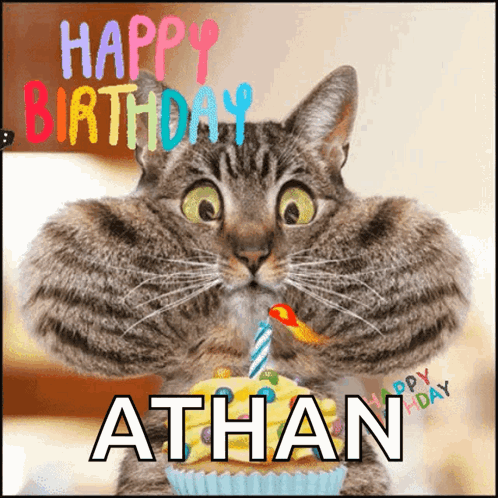 A Cat Holding A Cupcake With A Candle And The Name Athan GIF