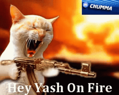 A Cat Holding A Gun With The Words Hey Yash On Fire Written Below It GIF