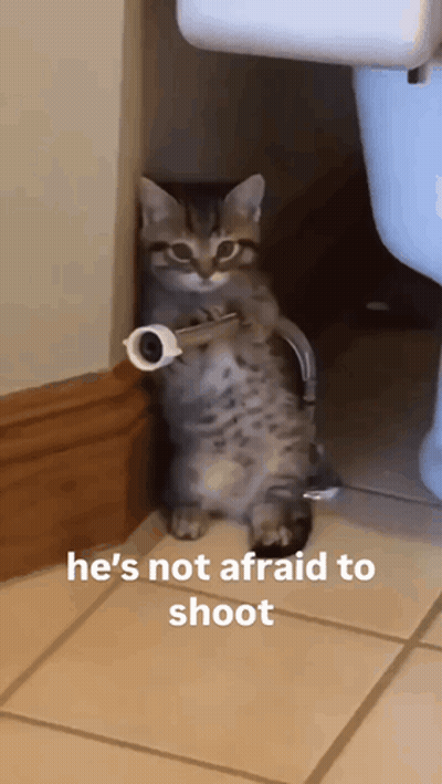A Cat Holding A Roll Of Toilet Paper Next To A Toilet GIF
